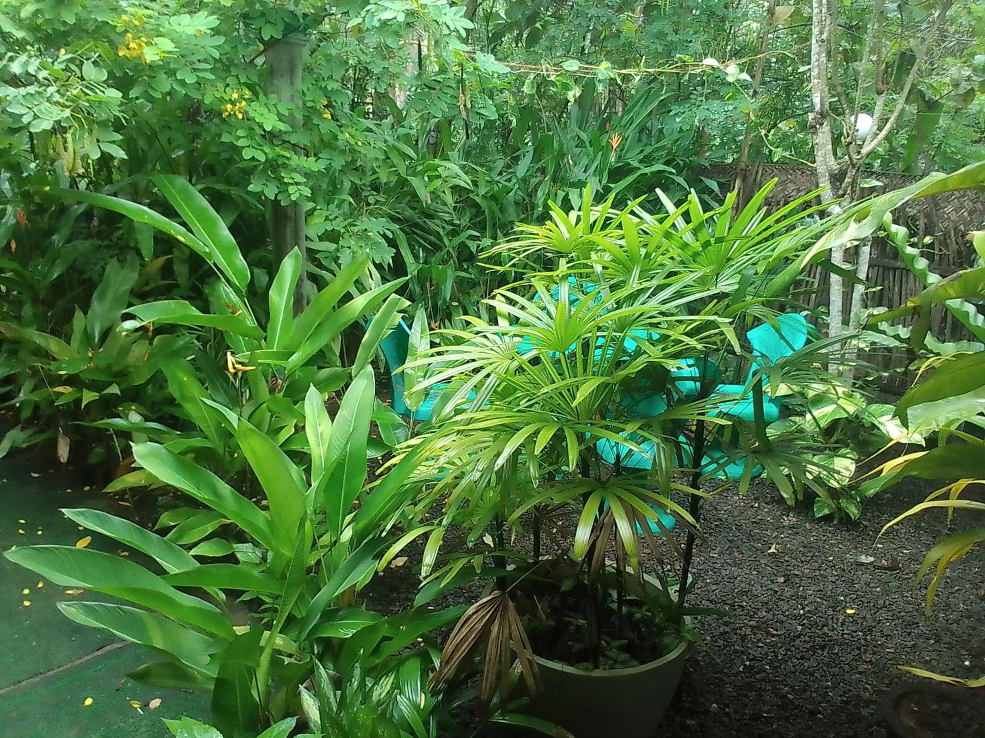 Hiriketiya Mahi Surf Apartment Dikwella Luaran gambar