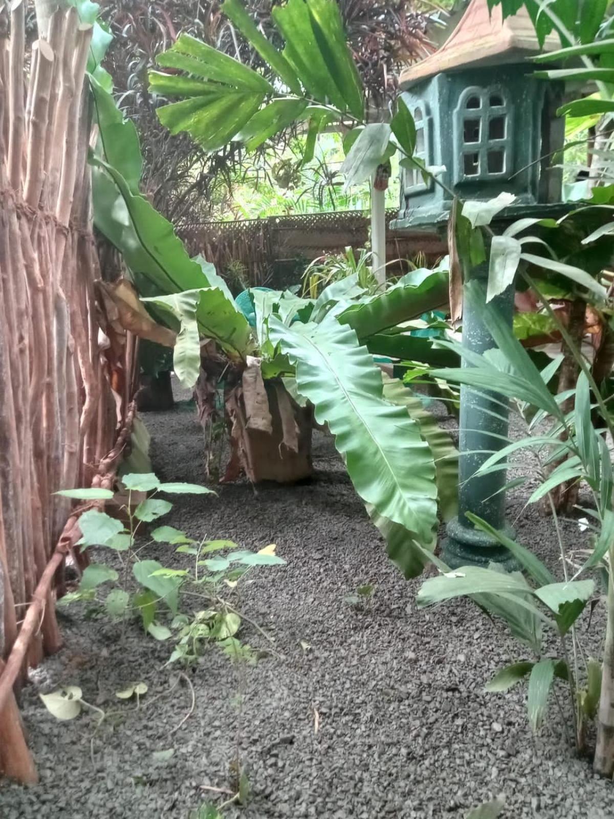 Hiriketiya Mahi Surf Apartment Dikwella Luaran gambar