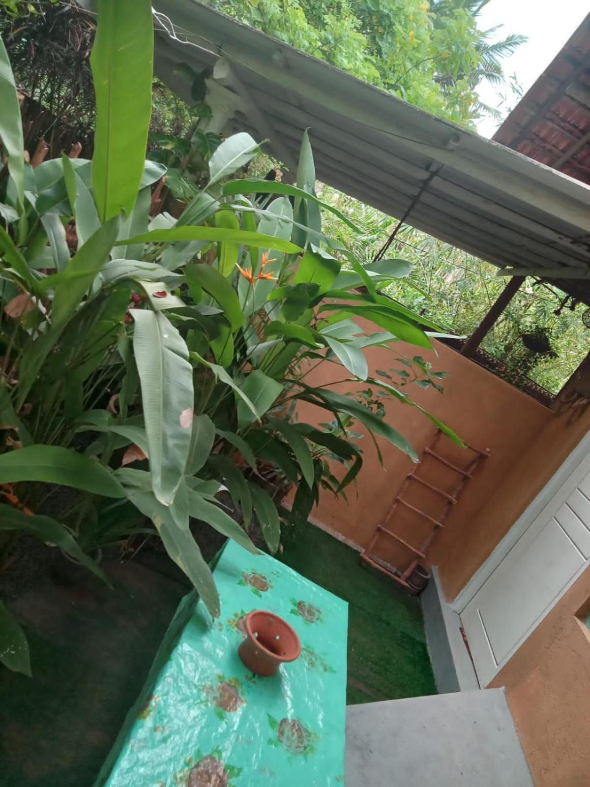 Hiriketiya Mahi Surf Apartment Dikwella Luaran gambar