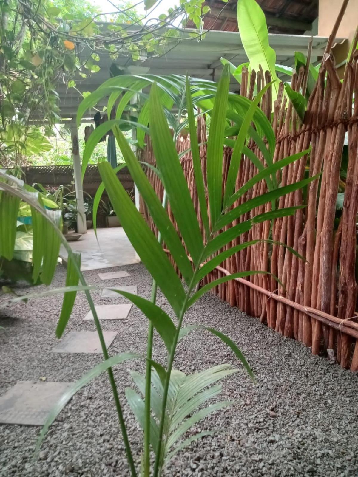 Hiriketiya Mahi Surf Apartment Dikwella Luaran gambar