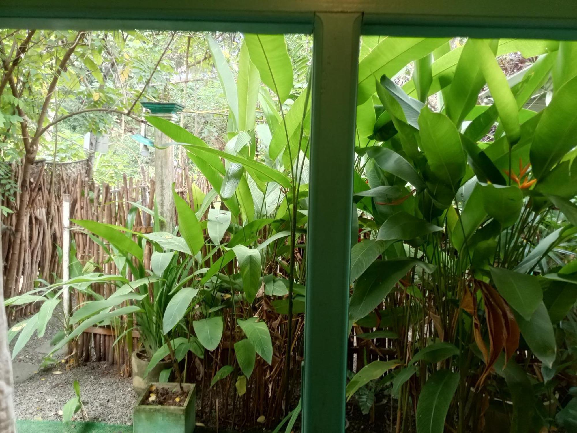 Hiriketiya Mahi Surf Apartment Dikwella Luaran gambar